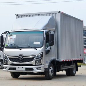 Light Duty Cargo Truck